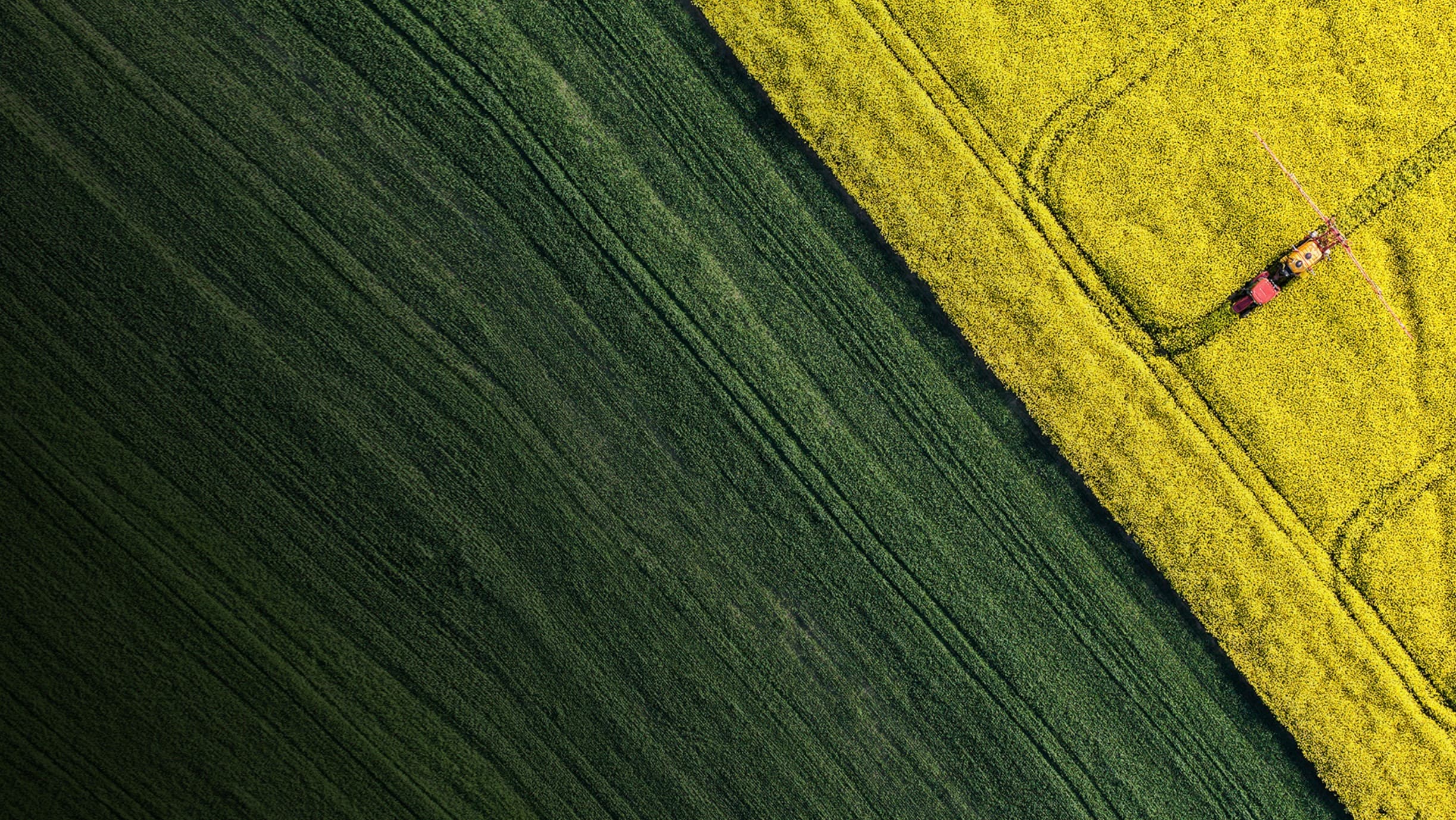 Agricultural market intelligence